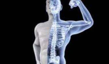 ହାଡ଼କୁ ମଜ୍‌ବୁତ୍‌ କରିବାକୁ ଖାଆନ୍ତୁନି ଏହି ସବୁ ଖାଦ୍ୟ