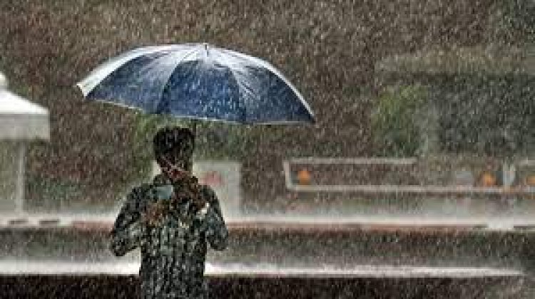 IMD issues heavy rain alert for 12 districts in Odisha