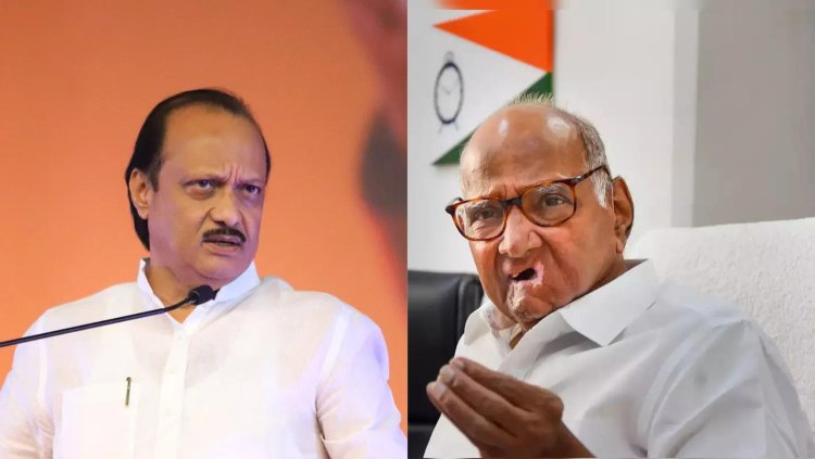 ବିଦ୍ରୋହର ୨ ଦିନ ପୂର୍ବରୁ ଜୁନ୍‌ ୩୦ ତାରିଖରେ ଅଜିତ ପାୱାର NCP ଦଳର ଅଧ୍ୟକ୍ଷ ନିର୍ବାଚିତ