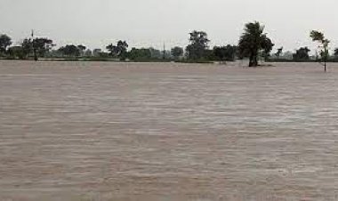 ବିପଦ ସଂକେତ ଉପରେ ବୈତରଣୀ