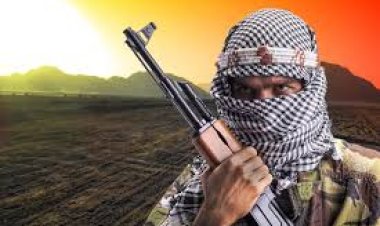 ସ୍ବାଧୀନତା ଦିବସରେ ଆକ୍ରମଣ ଆଶଙ୍କା:ଦିଲ୍ଲୀ ଆତଙ୍କବାଦୀଙ୍କ ମୁଖ୍ୟ ଲକ୍ଷ୍ୟ