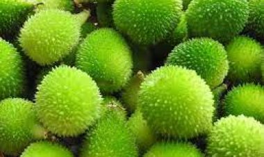 ବେଶ ଉପକାରୀ କାଙ୍କଡ