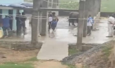 Police Recover 2 Bodies From Dairy Farm In Bhubaneswar Outskirts