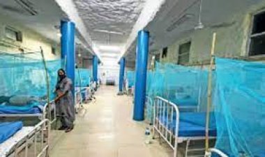 ଭୁବନେଶ୍ୱରର ସମସ୍ତ ୪ ସିଏଚସିରେ ଖୋଲିବ ଡେଙ୍ଗୁ ୱାର୍ଡ