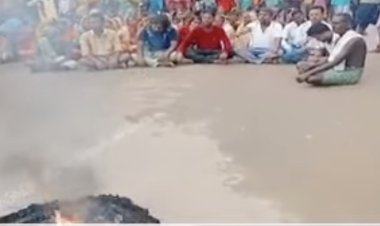 Three killed in elephant attack in Angul village, Road Blockade