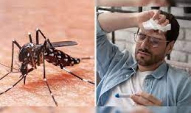 ଡେଙ୍ଗୁ-ମ୍ୟାଲେରିଆ-ଚିକେନଗୁନିଆ ଲକ୍ଷଣ ଓ ନିରାକରଣ