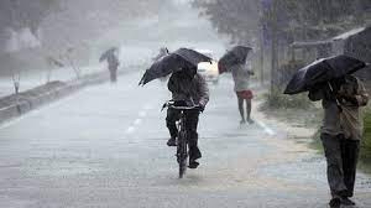Schools in several districts of Odisha closed today due to heavy rains