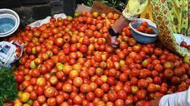 ଆସନ୍ତା ମାସରୁ ଟମାଟୋ ଶସ୍ତା ହେବ
