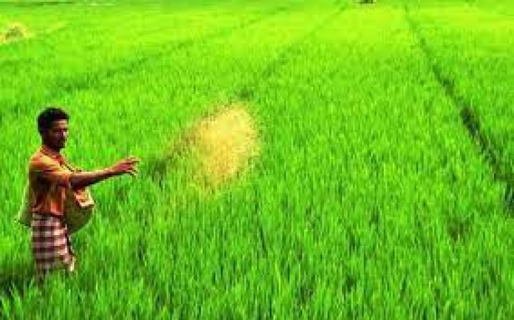 ଖରିଫ ଧାନକିଣା ପାଇଁ ଚାଷୀ ପଞ୍ଜିକରଣ ଅବଧି:ଅଗଷ୍ଟ ୨୨ ଯାଏ ବୃଦ୍ଧି