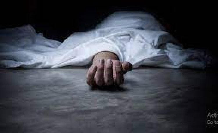 ସାପ କାମୁଡାରେ ତିନି ମୃତ