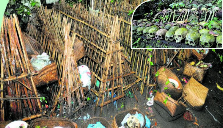 ଶବର ଦୁର୍ଗନ୍ଧକୁ ଦୂର କରିଥାଏ ଗଛର ସୁବାସ