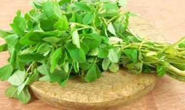ପାଟିକୁ ସୁଆଦିଆ, ପେଟକୁ ଭଲ: ଖାଲି ଶାଗ ନୁହେଁ; ଏହା ଏକ ମହୋଷଧୀ