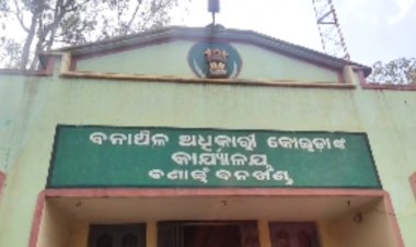 Woman missing from Sundargarh of Odisha found dead in forest