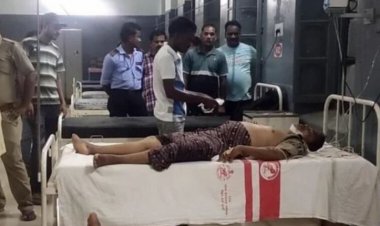 Two Forest Dept Staff Critical In Elephant Attack In Baripada