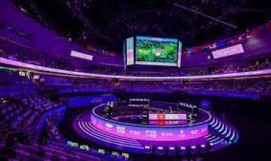 ସୁଟିଂରେ ପୁଣି ଭାରତକୁ ଏକ ସ୍ୱର୍ଣ୍ଣ ପଦକ