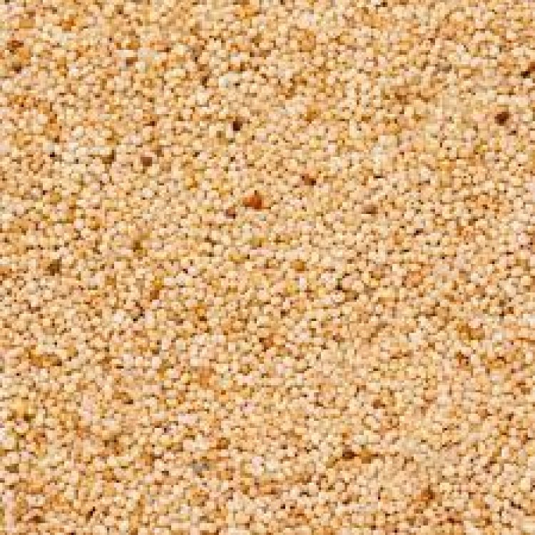 ସ୍ୱାସ୍ଥ୍ୟ ଲାଭଦାୟକ ପୋସ୍ତକ