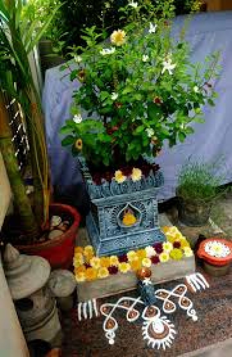 କାର୍ତ୍ତିର୍କ ମାସରେ ତୁଳସୀଙ୍କ ମହିମା