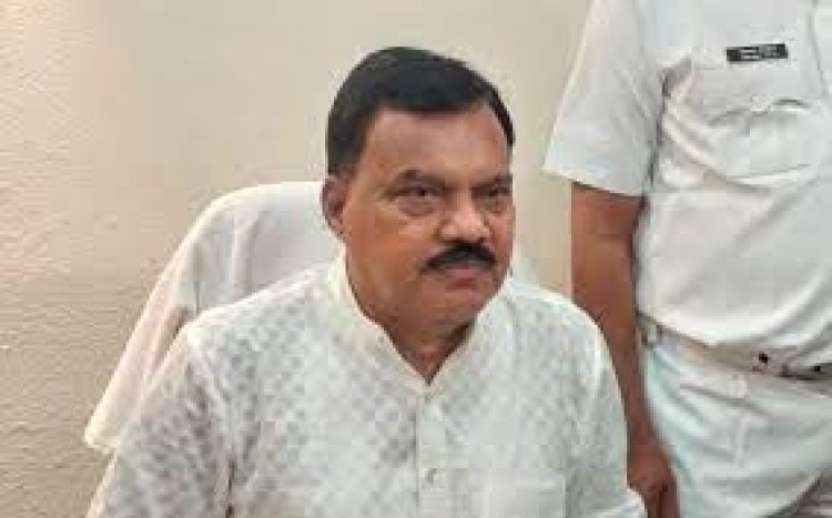 ଇସ୍ତଫା ଦେଲେ ଉପବାଚସ୍ପତି