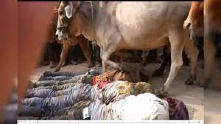 ଶ୍ରଦ୍ଧାଳୁଙ୍କ ଉପରେ ଗୋରୁଗାଈ ଚଢ଼ାଯିବାର ଏକ ନିଆରା ପରମ୍ପରା