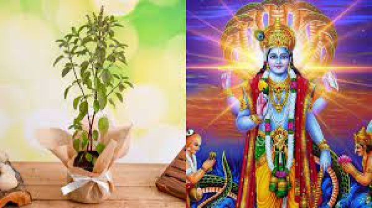ତୁଳସୀ ମାହାତ୍ମ୍ୟ : ବ୍ରହ୍ମା ଙ୍କ ବରଦାନ