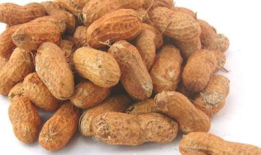 ଶୀତଦିନେ ଶରୀର ପାଇଁ ରାମବାଣ ଅଟେ ବାଦାମ
