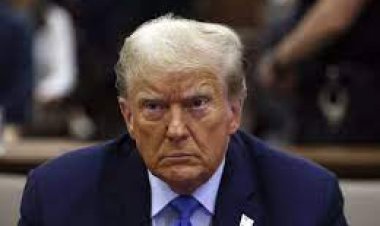 ଅଯୋଗ୍ୟ ଘୋଷଣା , ରାଷ୍ଟ୍ରପତି ନିର୍ବାଚନ ଲଢ଼ିପାରିବେନି ଡୋନାଲ୍ଡ ଟ୍ରମ୍ପ