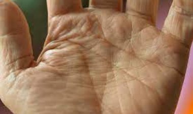 ରାସ୍ତାରୁ ମିଳିଲା କଟା ପାପୁଲି