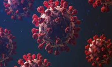 ବଡ଼ ଖବର: ଓଡ଼ିଶାରେ ଜେ.ଏନ-୧ ଆକ୍ରାନ୍ତ ଚିହ୍ନଟ