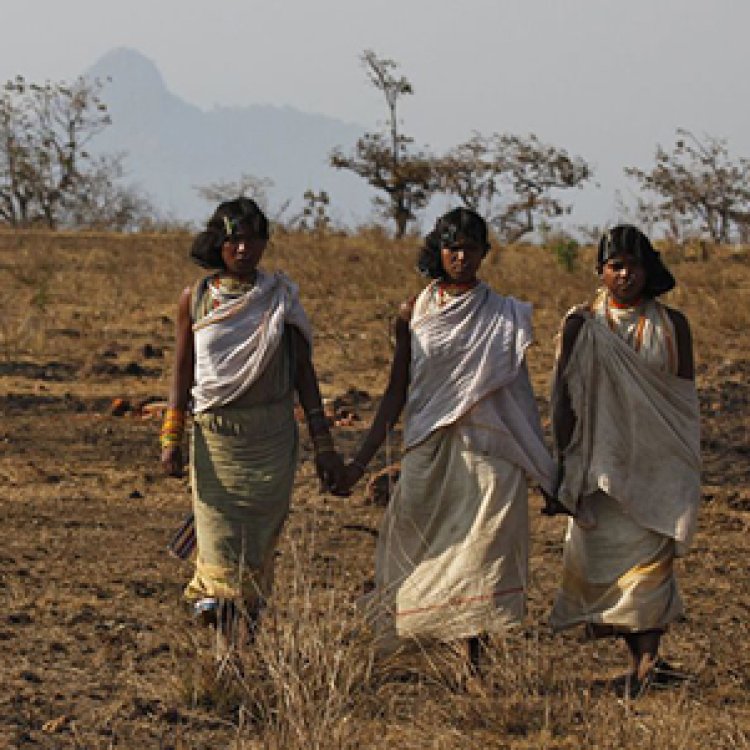 ସବୁଠୁ ବିରଳ ଜନଜାତି ଡଙ୍ଗରିଆ କନ୍ଧଙ୍କ ଲୋକନୃତ୍ୟ