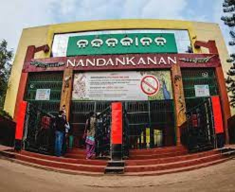 କେମିତି ହୋଇଥିଲା ନନ୍ଦନକାନନ ?