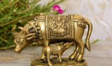 କାମଧେନୁ ଗାଈ ମୂର୍ତ୍ତିର ଚମତ୍କାରିତା କେତେ ଜାଣନ୍ତୁ