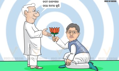 Political Valentine's Day