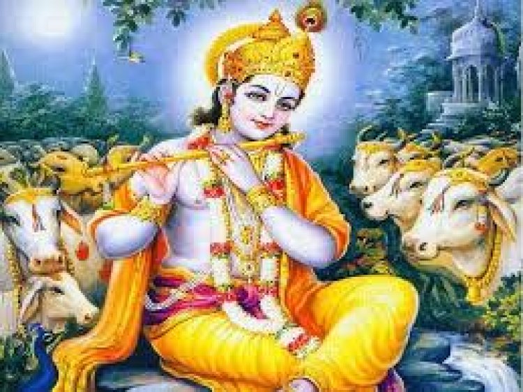 ନାଭିକଟା ମଣ୍ଡପରେ କଟାଯାଏ ଶ୍ରୀକୃଷ୍ଣଙ୍କ ନାଭି