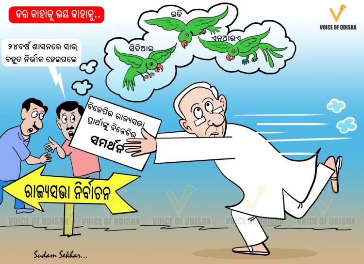 ଡର କାହାକୁ ଭୟ କାହାକୁ