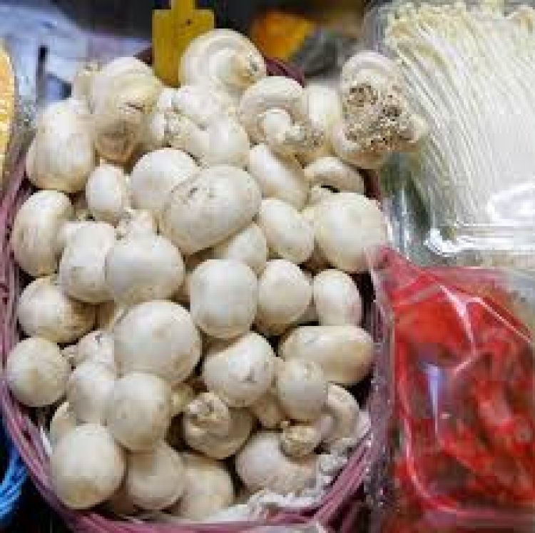 ଛତୁର ଖାଉଥିଲେ ସାବଧାନ