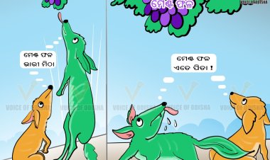 ମେଣ୍ଟ ଫଳ