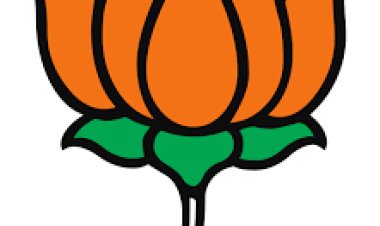 ଦିଲ୍ଲୀରେ ଅଟକିଛି ରାଜ୍ୟ ବିଜେପିର ଭାଗ୍ୟ