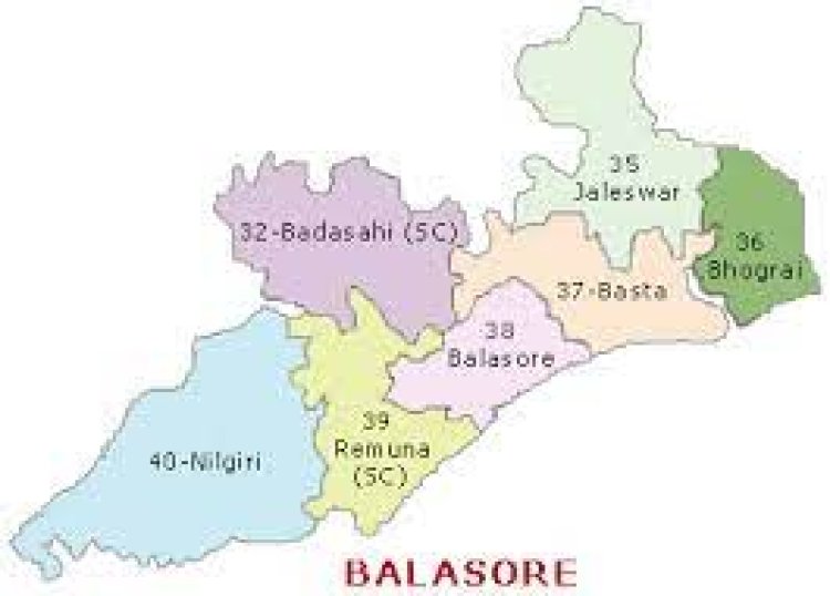 ବାଲେଶ୍ୱରରୁ ଏମପି ଲଢ଼ିବେ ସଂଜୀବ ଗିରି