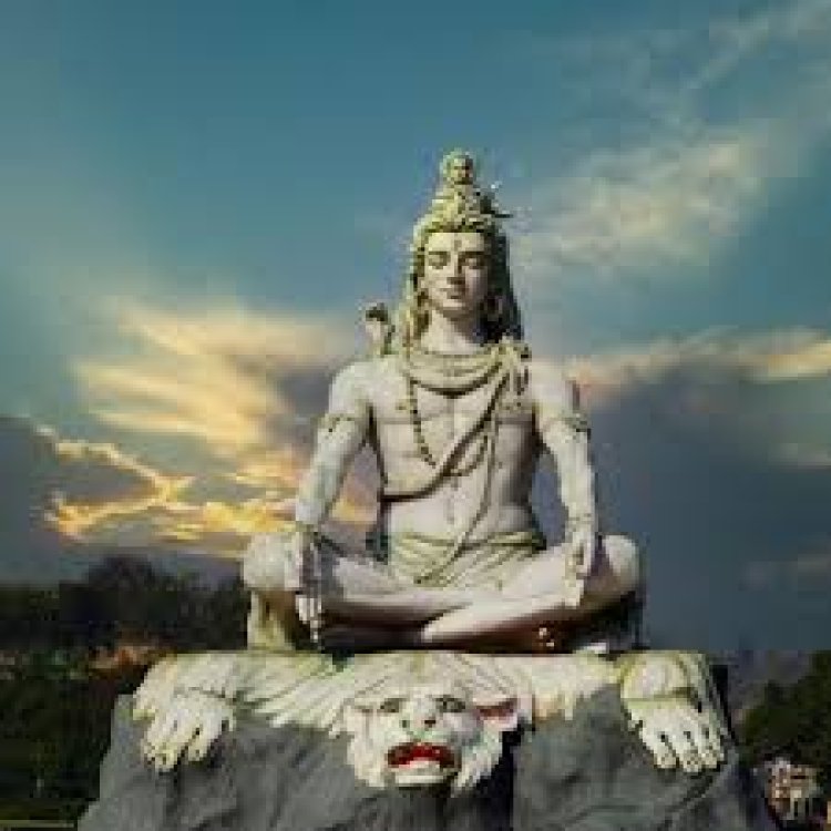 ମହାଶିବରାତ୍ରୀରେ ଆଣନ୍ତୁ ଏହି ୪ଟି ଗଛ ; ସୁଖସମୃଦ୍ଧି ସହ ହେବ ଧନବର୍ଷା