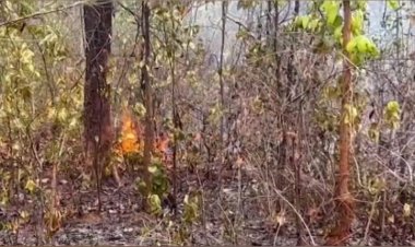 ଖୋଲୁନି ନିଦ୍ରା , କେବଳ ୨ କିଲୋମିଟର ଦୂରରେ ବନ ବିଭାଗ । ଡହଡହ ଖରାରେ ଜଳି ପାଉଁଶ ହୋଇଗଲା ହେମଗିରି ବ୍ଲକ କନିକା ଜଙ୍ଗଲ