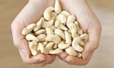 କାଜୁ ଖାଇବାର ବିଶେଷ ଫାଇଦା