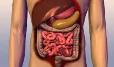 ହଜମ ସମସ୍ୟାର ସମ୍ମୁଖୀନ ହେଉଥିଲେ ,ଜାଣନ୍ତୁ