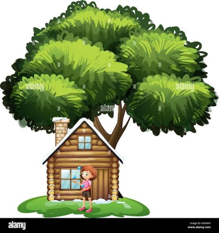 ଏହି ଗଛର ଛାଇ କରିଦେବ ଘରକୁ ନାଶ