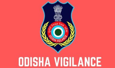 "Vigilance uncovers 85 plots owned by an engineer from Odisha."