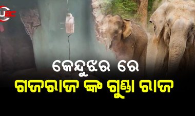 କେନ୍ଦୁଝର ରେ ଗଜରାଜ ଙ୍କ ଗୁଣ୍ଡା ରାଜ
