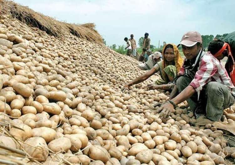 Odisha will now receive potatoes from Uttar Pradesh and will discontinue importing them from West Bengal.