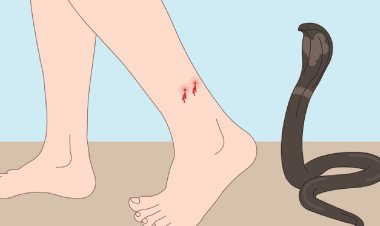 "Three siblings die from snakebite in Odisha."