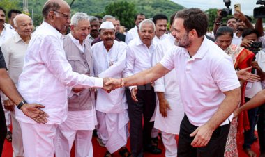 MVA's Maharashtra deal on 260 seats: Congress gets 115, Uddhav gets 85, and Sharad gets 75.