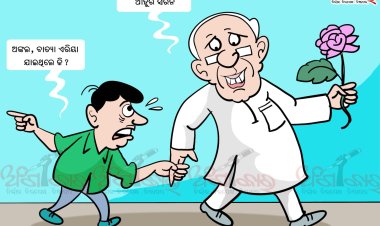 ବାତ୍ୟା ଏରିୟା ଯାଇଥିଲେ କି ?