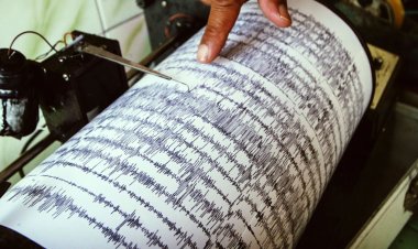 Mild earthquake tremors were felt in Bhubaneswar and the surrounding areas.